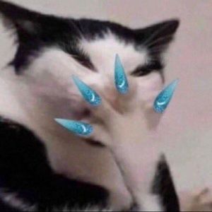 Meet your Posher, Kailey